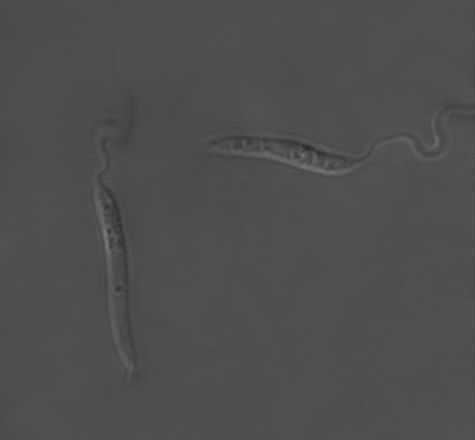 Day01
