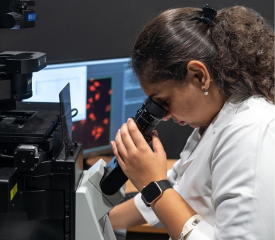 Integrated Master of Science