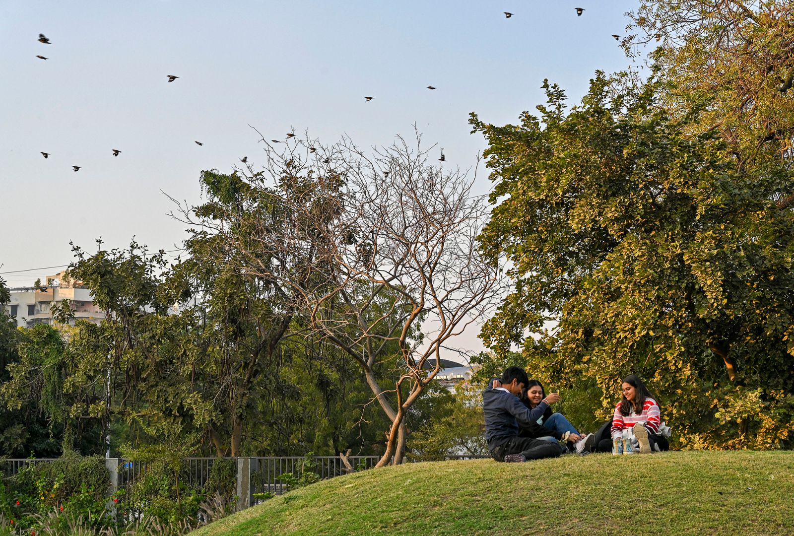 Ahmedabad University and SEWA Collaborate to Empower Communities for Better Health