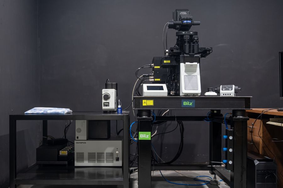 Olympus FV3000 confocal microscope