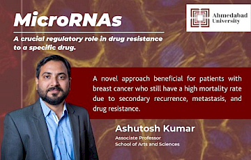 Study Shows MicroRNAs can be an Effective Treatment of Drug-Resistant Breast Cancer