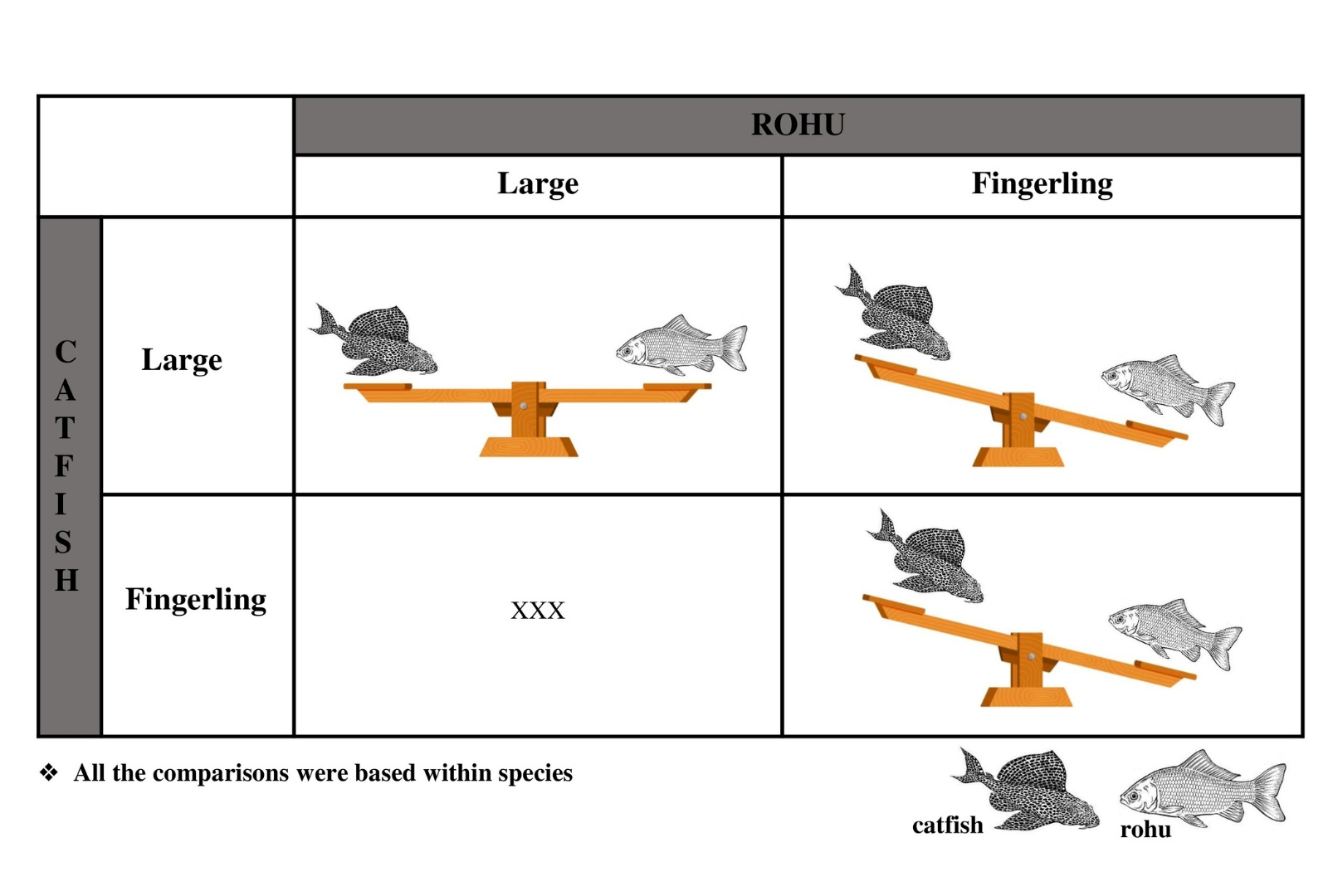 Invasive Catfish