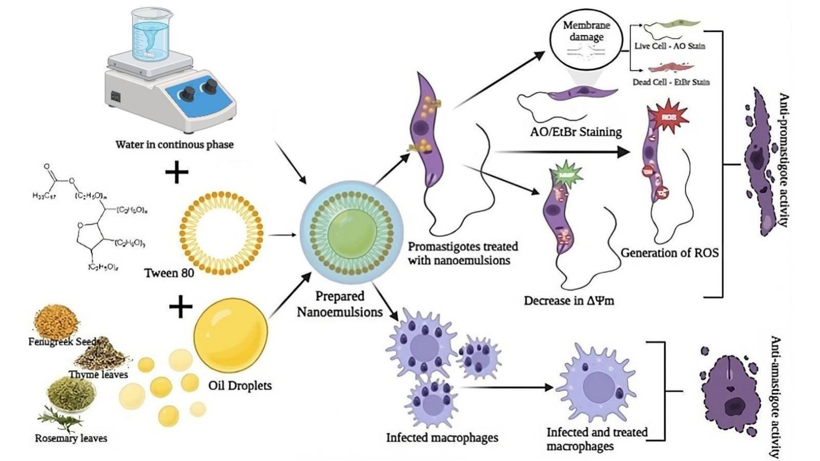 Leishmaniasis