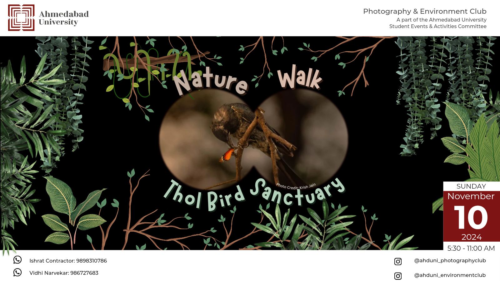 Thol Bird Sanctuary: Nature Walk