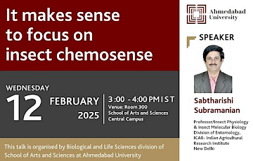 It makes sense to Focus on Insect Chemosense