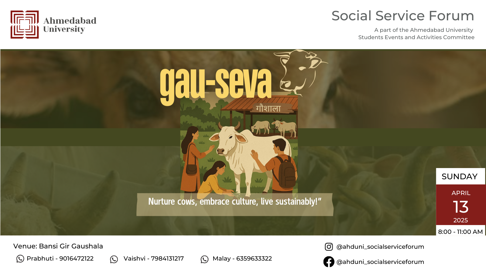 Gauseva