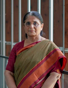 Darshini Mahadevia, Professor | Ahmedabad University