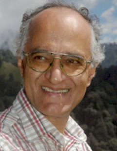 Timothy Gonsalves, Distinguished Professor of Engineering | Ahmedabad University