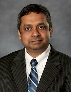 Dipankar Bandyopadhyay, Visiting Professor