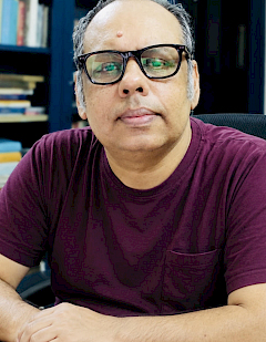 Pinaki Majumdar, Professor