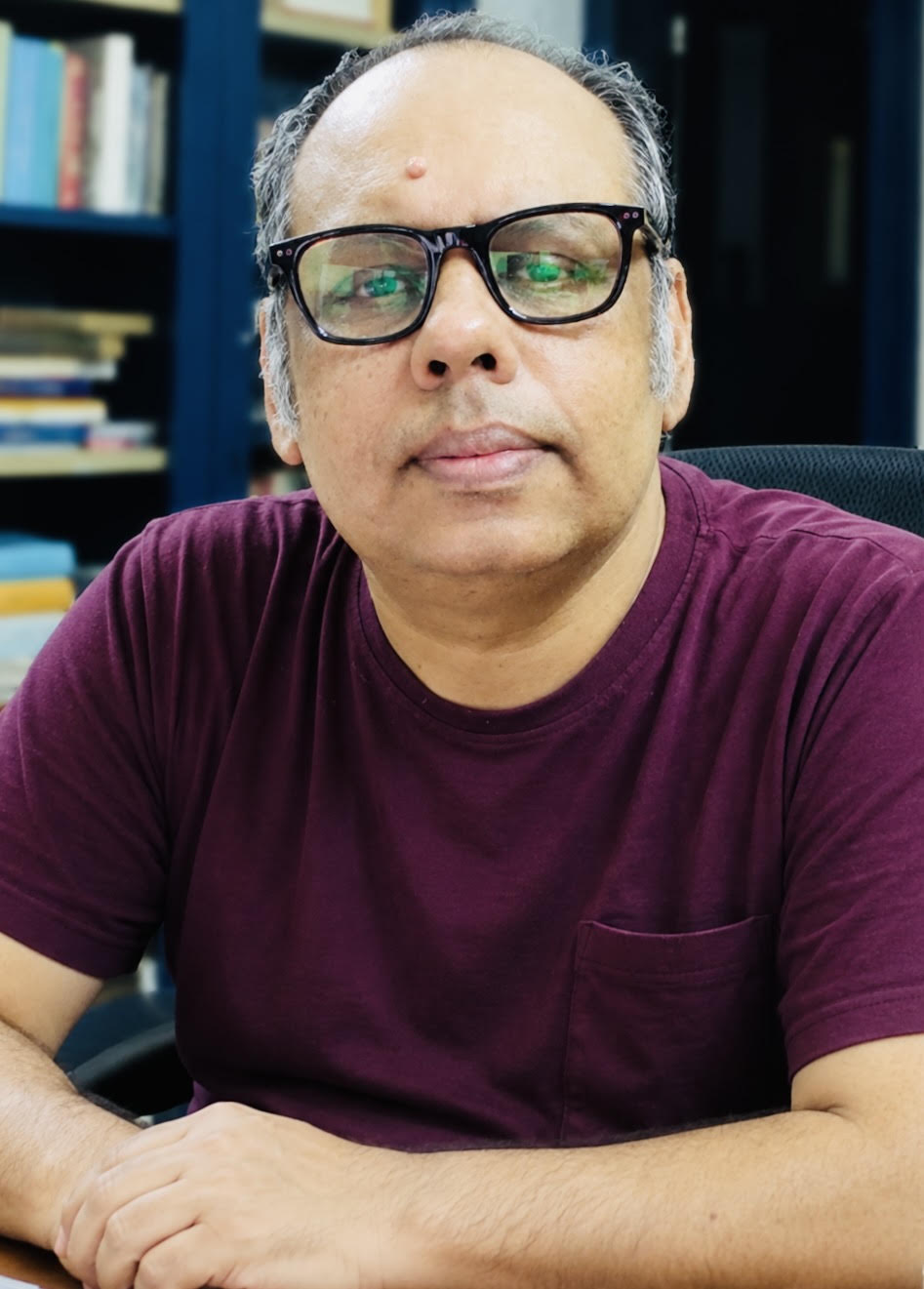 Pinaki Majumdar, Professor