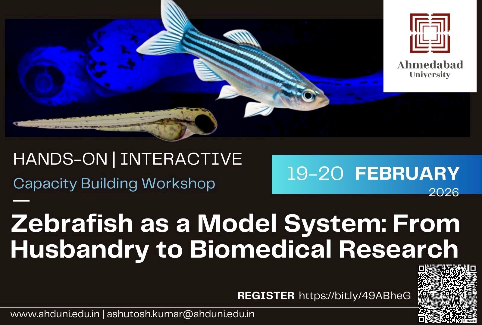 Zebrafish as a Model System