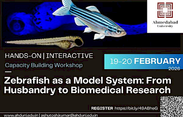Zebrafish as a Model System