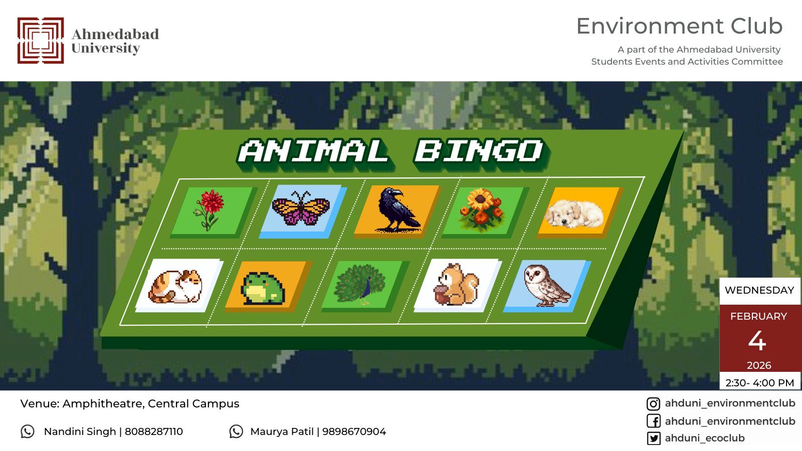 Animal Bingo