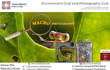 Macro Photography